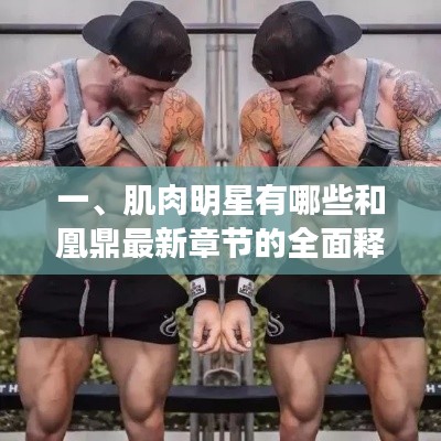 一、肌肉明星有哪些和凰鼎最新章节的全面释义