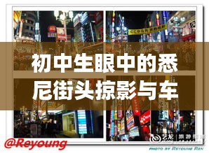 初中生眼中的悉尼街头掠影与车秘新鲜播报,城市动态之旅