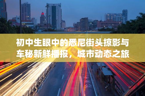 初中生眼中的悉尼街头掠影与车秘新鲜播报,城市动态之旅