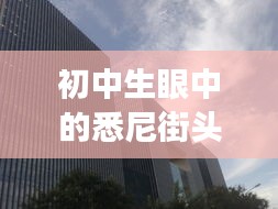 初中生眼中的悉尼街头掠影与车秘新鲜播报,城市动态之旅
