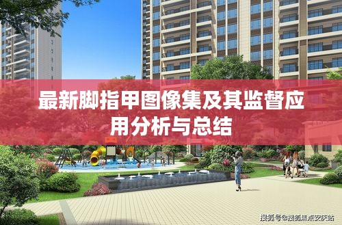 最新脚指甲图像集及其监督应用分析与总结