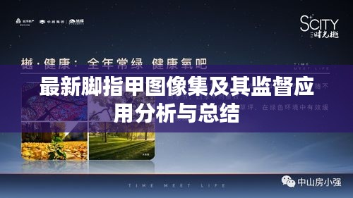 最新脚指甲图像集及其监督应用分析与总结
