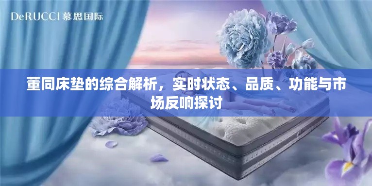 董同床垫的综合解析,实时状态、品质、功能与市场反响探讨