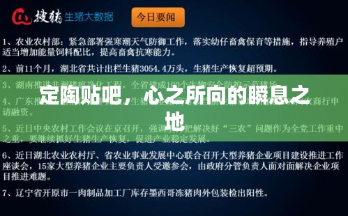 定陶贴吧,心之所向的瞬息之地