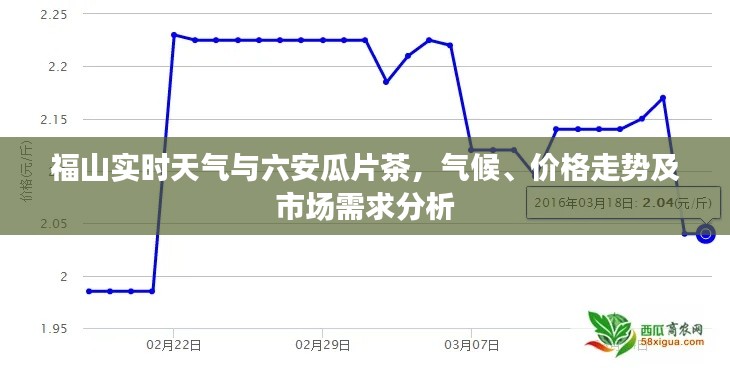 福山实时天气与六安瓜片茶,气候、价格走势及市场需求分析