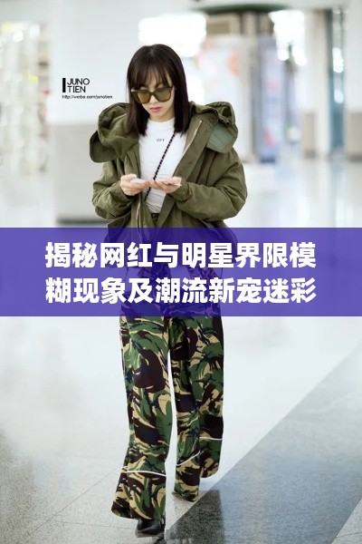 揭秘网红与明星界限模糊现象及潮流新宠迷彩风采