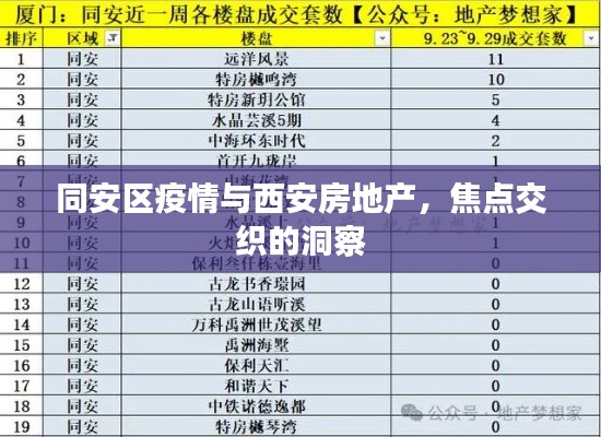 同安区疫情与西安房地产,焦点交织的洞察