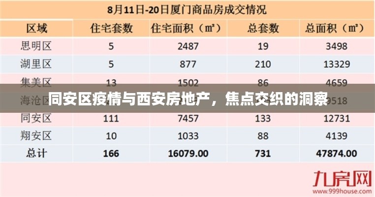 同安区疫情与西安房地产,焦点交织的洞察