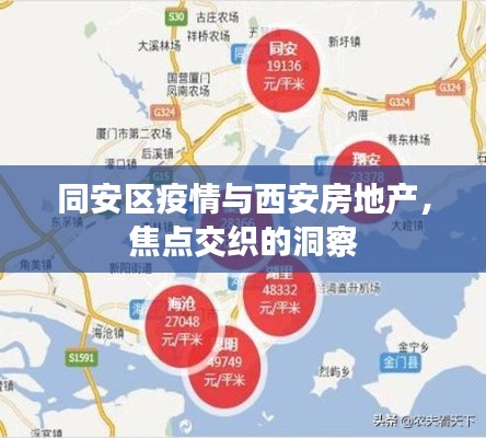 同安区疫情与西安房地产,焦点交织的洞察