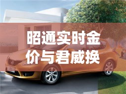 昭通实时金价与君威换代最新消息,全面解读与风险防范