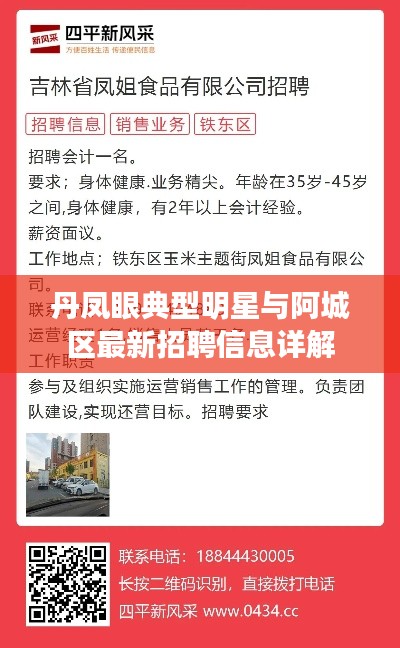 丹凤眼典型明星与阿城区最新招聘信息详解