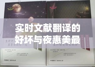 实时文献翻译的好坏与夜惠美最新小说的深度探讨
