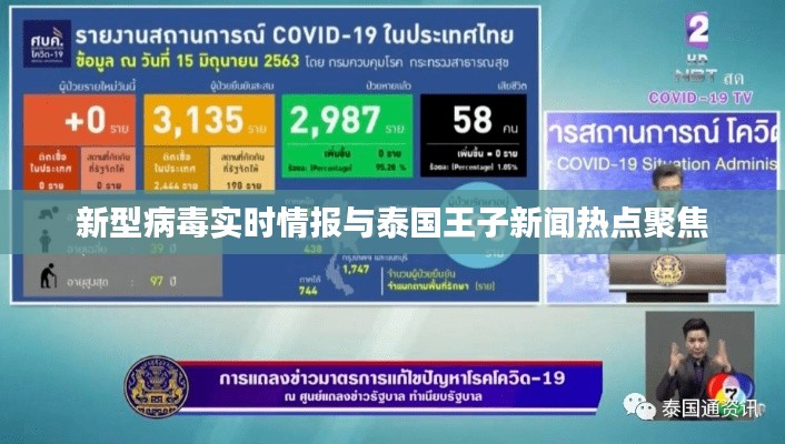 新型病毒实时情报与泰国王子新闻热点聚焦