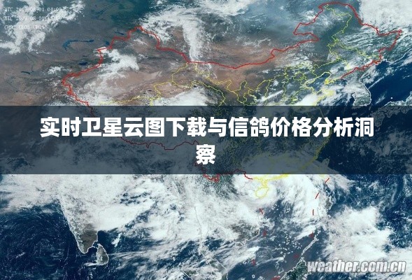 实时卫星云图下载与信鸽价格分析洞察