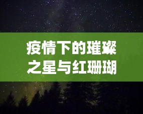 疫情下的璀璨之星与红珊瑚,明星动态与云端新进展