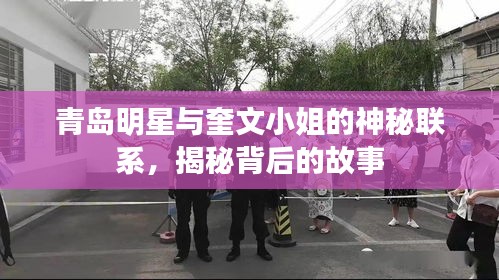 青岛明星与奎文小姐的神秘联系,揭秘背后的故事