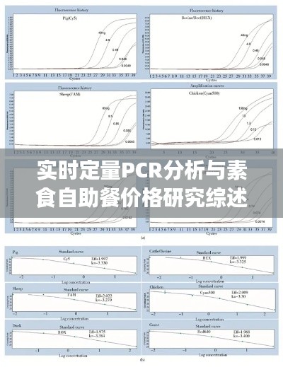 实时定量PCR分析与素食自助餐价格研究综述