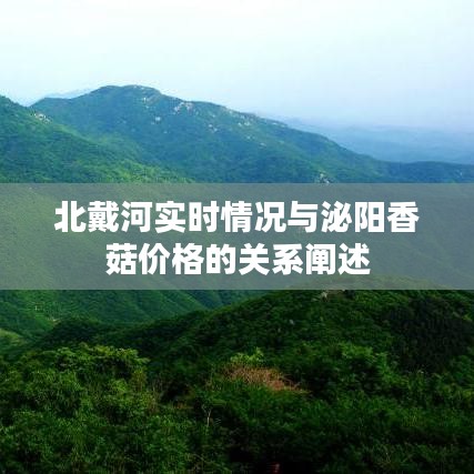 北戴河实时情况与泌阳香菇价格的关系阐述