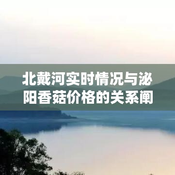 北戴河实时情况与泌阳香菇价格的关系阐述