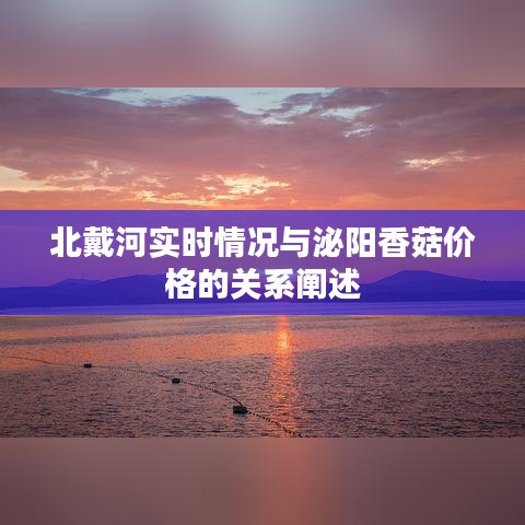 北戴河实时情况与泌阳香菇价格的关系阐述