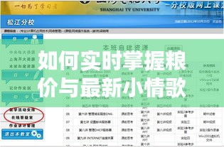 如何实时掌握粮价与最新小情歌