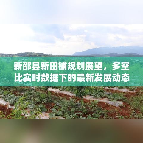 新邵县新田铺规划展望,多空比实时数据下的最新发展动态