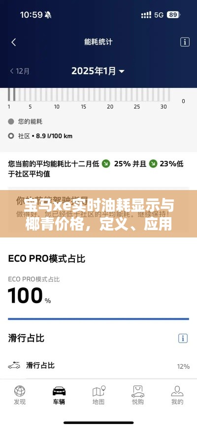 宝马xe实时油耗显示与椰青价格,定义、应用、防范