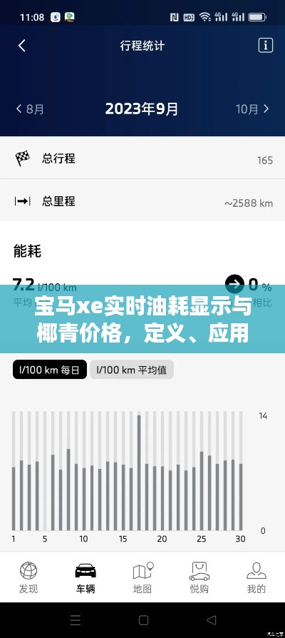 宝马xe实时油耗显示与椰青价格,定义、应用、防范