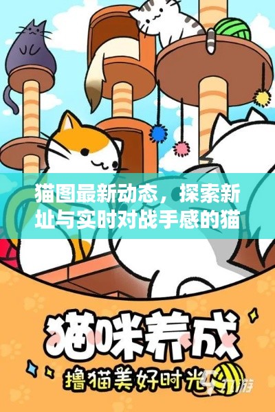 猫图最新动态,探索新址与实时对战手感的猫咪世界冒险