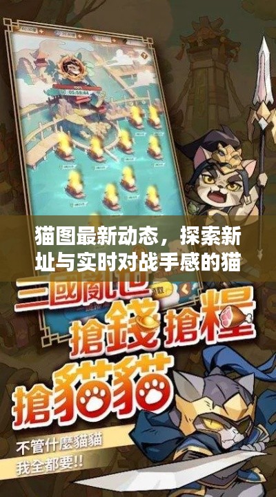 猫图最新动态,探索新址与实时对战手感的猫咪世界冒险