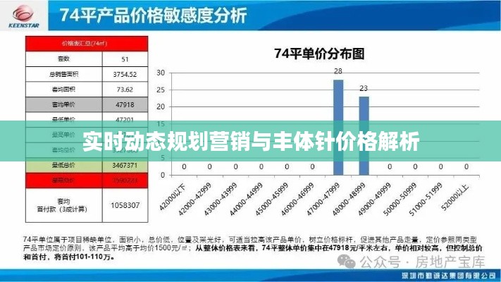 实时动态规划营销与丰体针价格解析