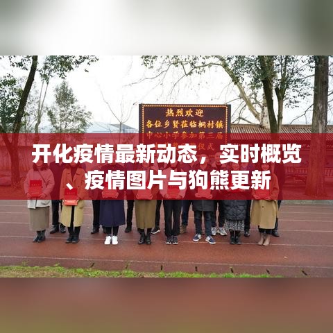 开化疫情最新动态,实时概览、疫情图片与狗熊更新