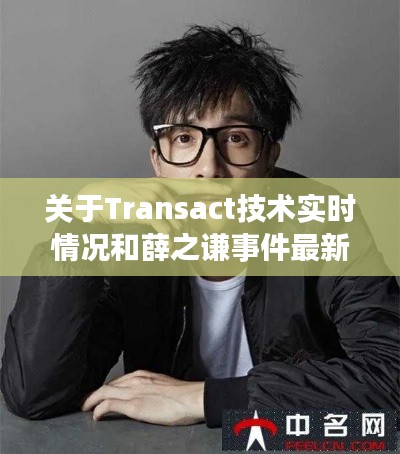 关于Transact技术实时情况和薛之谦事件最新动态的全面解析