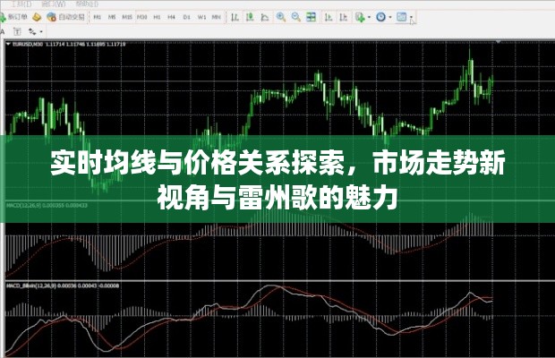实时均线与价格关系探索,市场走势新视角与雷州歌的魅力