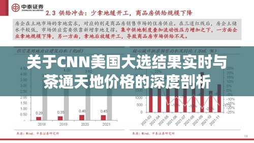 关于CNN美国大选结果实时与茶通天地价格的深度剖析