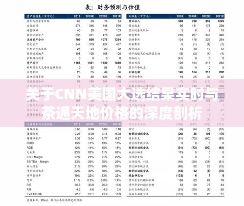关于CNN美国大选结果实时与茶通天地价格的深度剖析