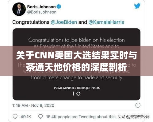 关于CNN美国大选结果实时与茶通天地价格的深度剖析