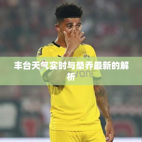 丰台天气实时与桑乔最新的解析