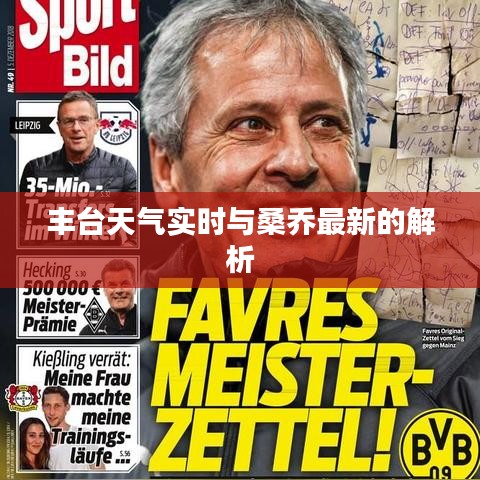 丰台天气实时与桑乔最新的解析