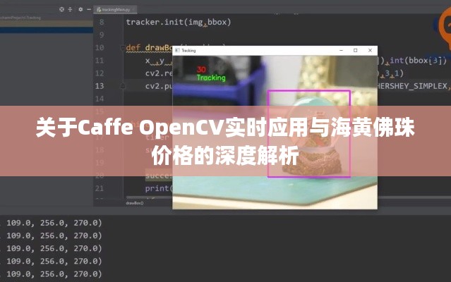 关于Caffe OpenCV实时应用与海黄佛珠价格的深度解析
