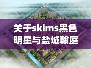关于skims黑色明星与盐城翰庭雅苑最新均价的深度剖析