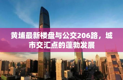 黄埔最新楼盘与公交206路，城市交汇点的蓬勃发展