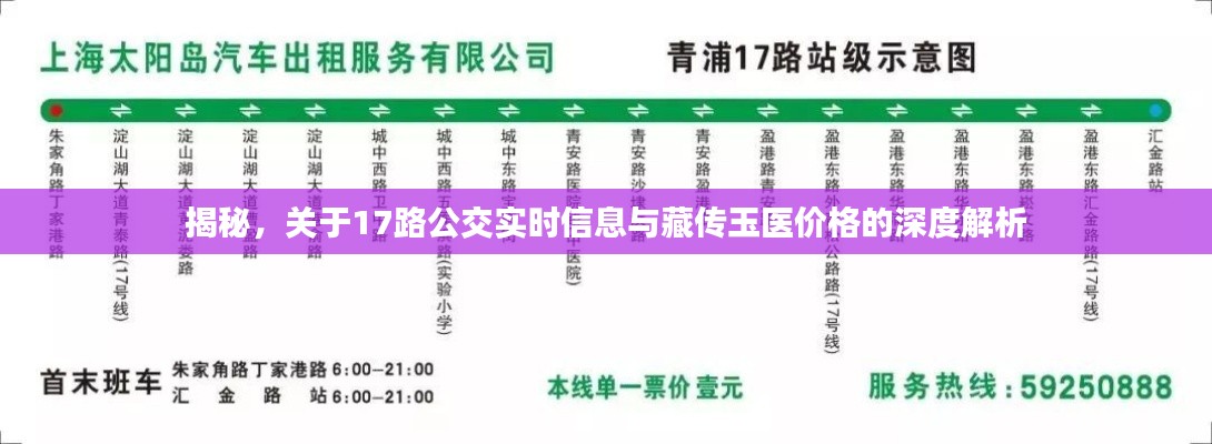 揭秘，关于17路公交实时信息与藏传玉医价格的深度解析
