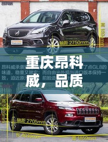 重庆昂科威，品质之选，科技与美学的和谐融合