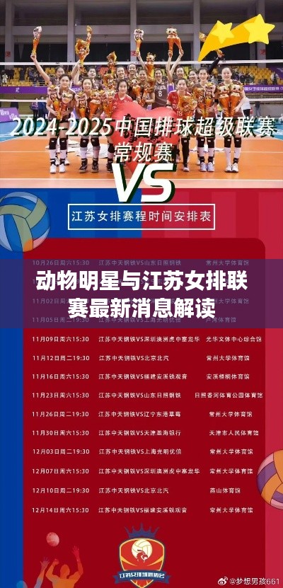 动物明星与江苏女排联赛最新消息解读